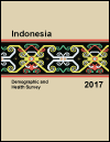 Indonesia Demographic and Health Survey 2017