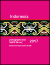 Indonesia Demographic and Health Survey 2017: Adolescent Reproductive Health