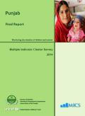 Punjab: Multiple Indicator Cluster Survey 2014, Final Report