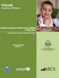 Pakistan: Multiple Indicator Cluster Survey, Punjab 2011