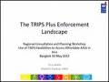 The TRIPS Plus Enforcement Landscape
