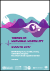 Trends in Maternal Mortality 2000 to 2017